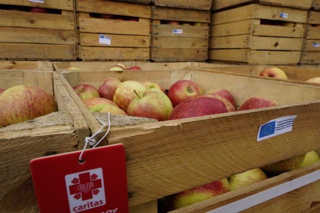 Do wrocławian trafi 20 tysięcy kilogramów jabłek, których nie sprzedano za wschodnią granicą