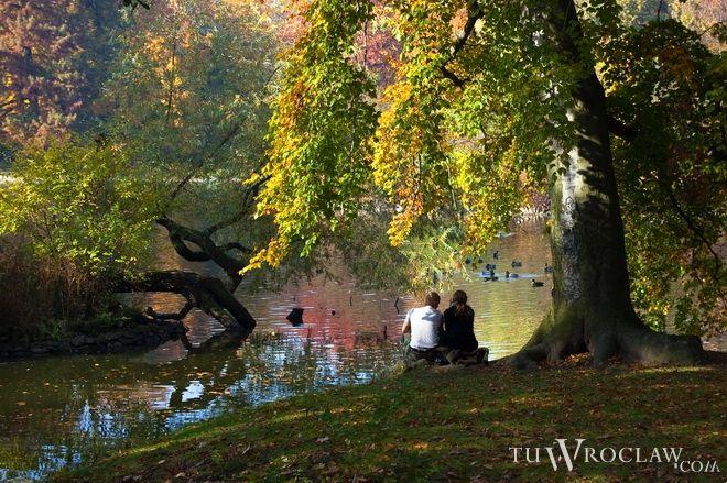Czy na Starym Mieście powstanie Park Noblistów?