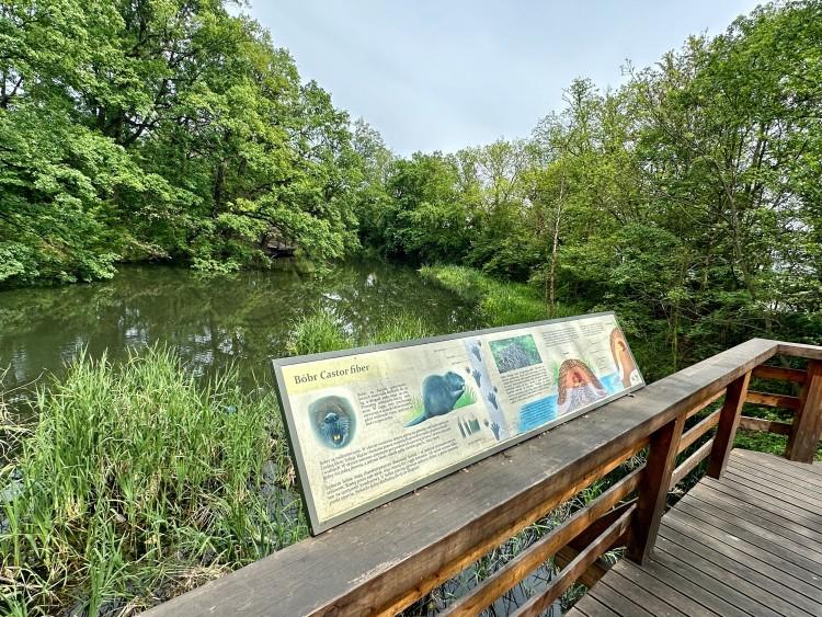 Ten wrocławski park był popularny już przed wojną. Swojczycki Park Czarna Woda - zobacz jak jest tam teraz