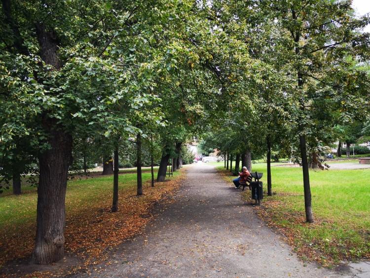 Miasto zrewitalizuje park w centrum. Wykonawca pierwszego etapu wybrany [ZDJĘCIA]