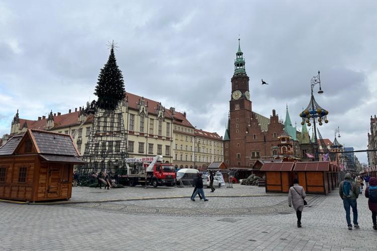 Wrocław: Na Rynku powstaje zupełnie nowa choinka. Udaje prawdziwą!
