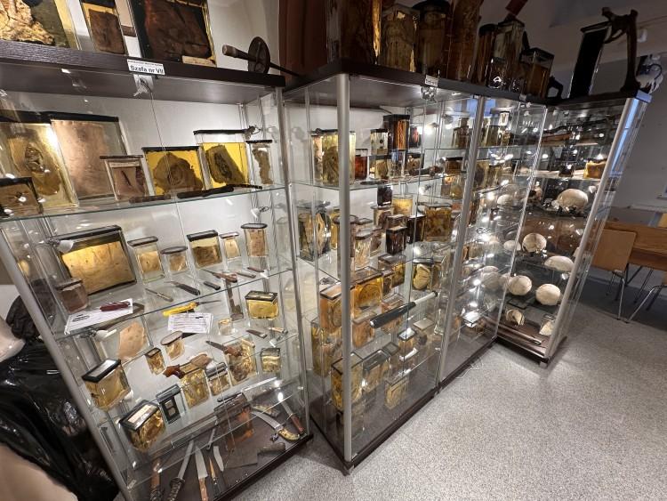 Seryjni mordercy i najbardziej okrutne zbrodnie we wrocławskim muzeum