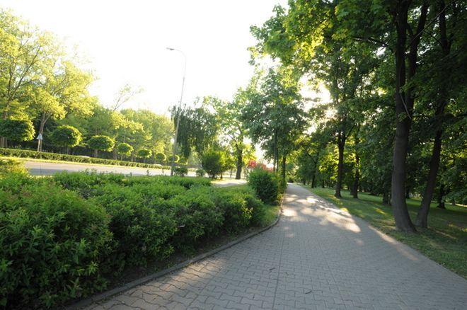 Od załamania do nadziei – historia wrocławskiej, giełdowej spółki ANTI