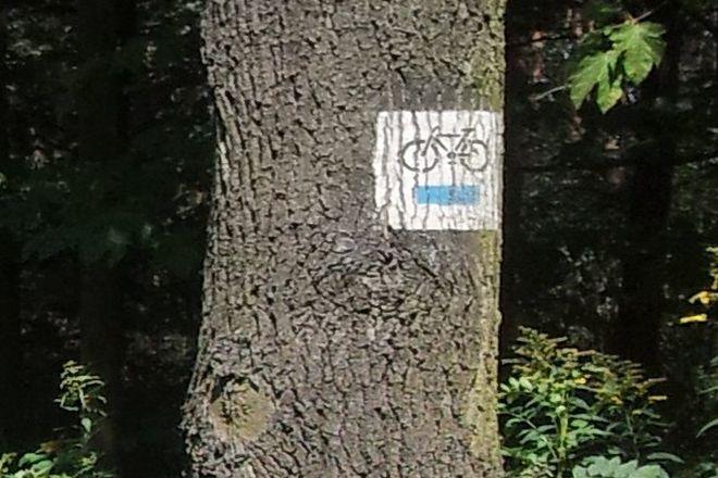 Zapisz się na rowerową wycieczkę z Brzegu do Wrocławia