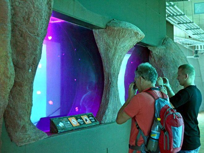 Afrykarium we wrocławskim zoo to żywy organizm, który ciągle się zmienia
