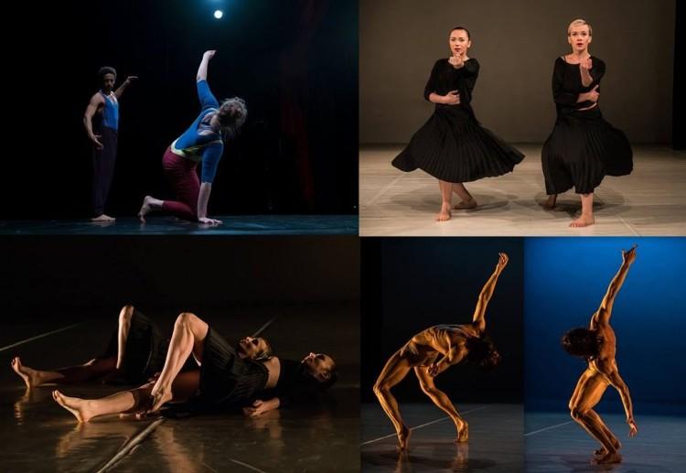 Ruszył 11. Mandala Performance Festival  [PROGRAM]