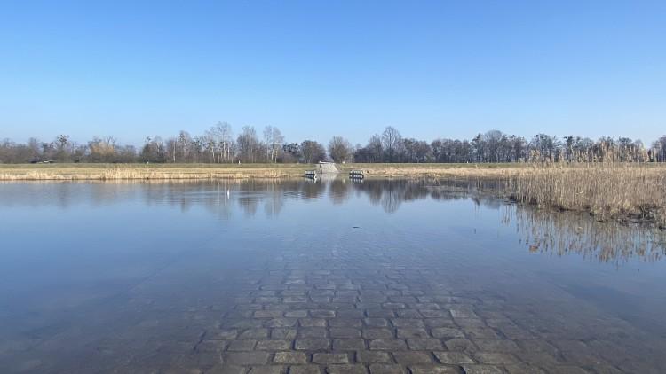 Wysoki poziom Widawy we Wrocławiu. Ulica pod wodą