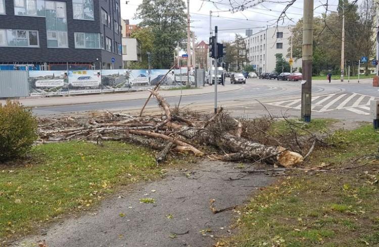 Wichura we Wrocławiu. Będzie tak wiać do wieczora