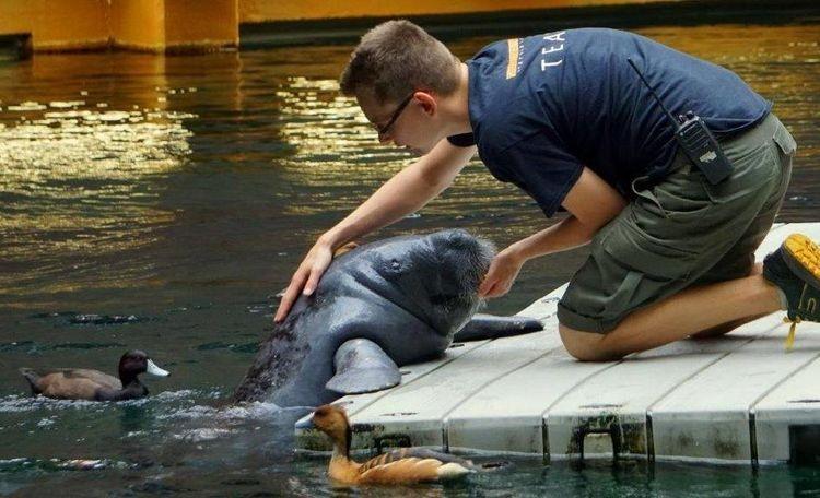 Zoo otwiera kolejne atrakcje. Zamknięto je z powodu pandemii koronawirusa [ZDJĘCIA]