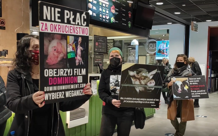 Wrocław: Weganki protestowały w galeriach handlowych. Ochrona wyrzuciła je trzy razy [ZDJĘCIA, WIDEO]