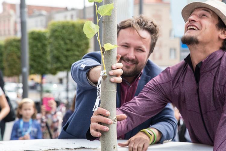 We Wrocławiu posadzili Drzewo Mocy. Dzięki mobilnej donicy może zmieniać swoją lokalizację
