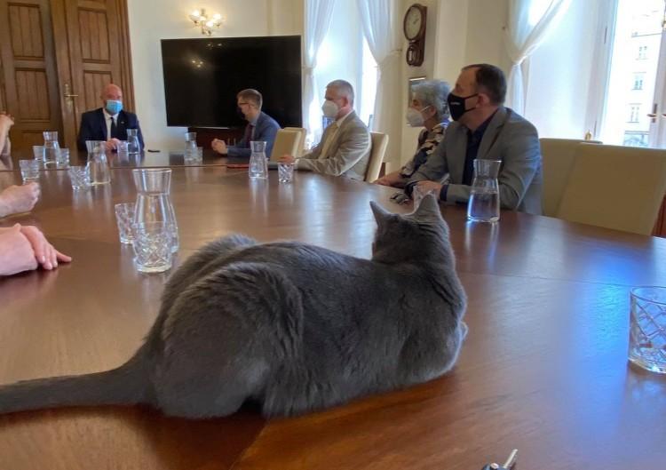 We wrocławskim ratuszu obradowała Rada ds. Zwierząt