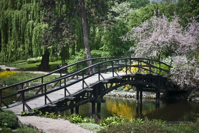 Nowy sezon Ogrodu Botanicznego: podwyżka cen biletów i rozbiórka palmiarni