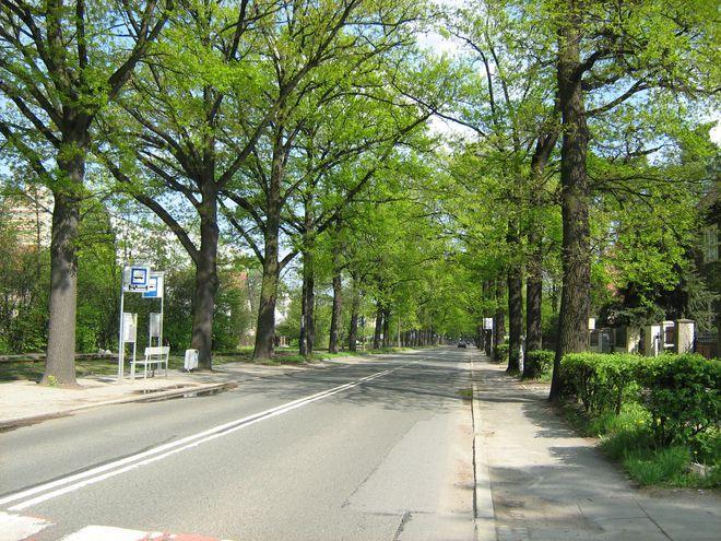 Tajemniczy Wrocław: Wrocławska Madonna cz. 9