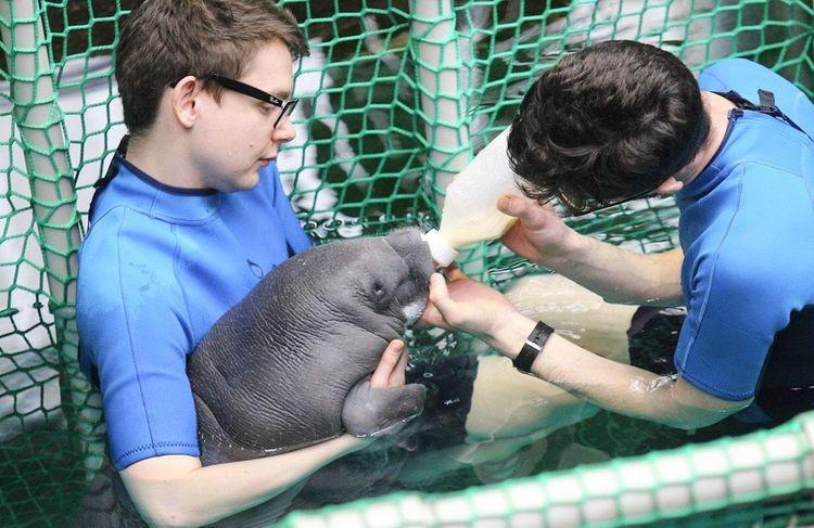 Nowy mieszkaniec wrocławskiego zoo. „To sensacja!”