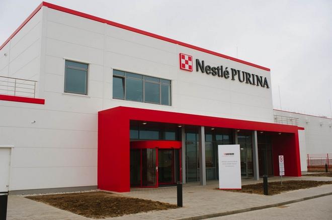 Nestlé szuka praktykantów do podwrocławskiej fabryki. Firma za praktyki zapłaci