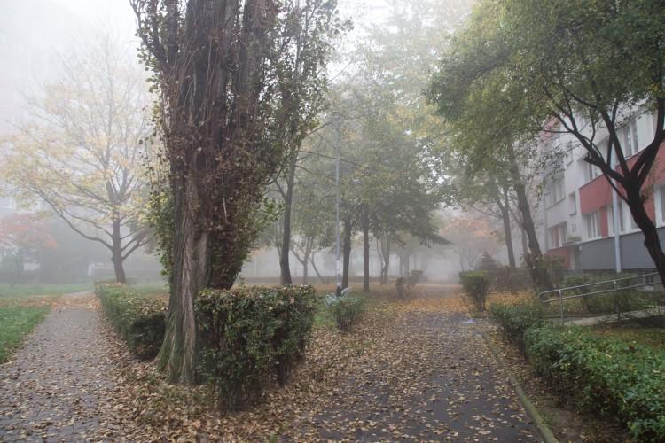 Nagła zmiana pogody: Wrocław spowity mgłą. Kierowcy, nie rozpędzajcie się! [ZDJĘCIA]
