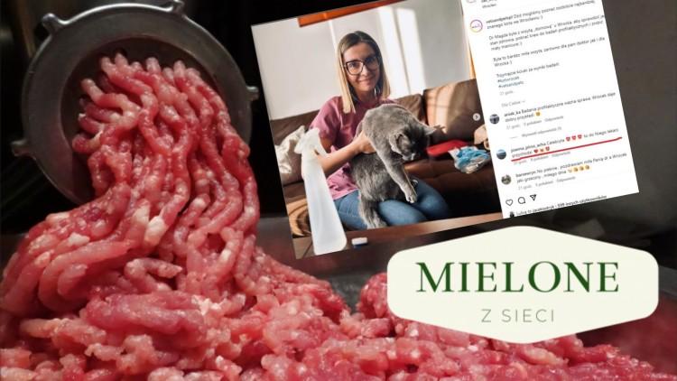 MIELONE Z SIECI A kto sprząta kuwetę w ratuszu?