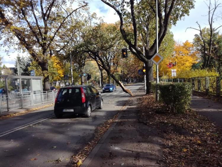Znów mocno powieje! Nowe ostrzeżenie meteorologiczne dla Wrocławia