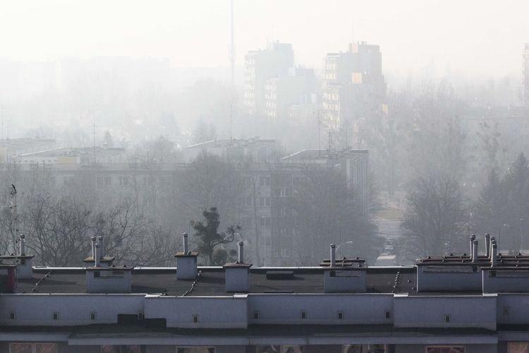 Fatalna jakość powietrza we Wrocławiu. Lepiej nie wychodzić