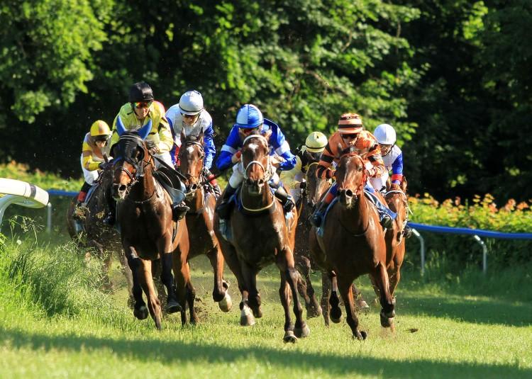 Szarża ułańska, Crystal Cup i Ladies Day - 100 lat niepodległości na WTWK Partynice