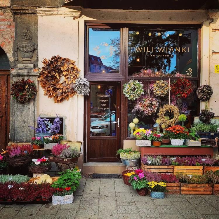 Najlepiej oceniane kwiaciarnie we Wrocławiu. Oto TOP 10