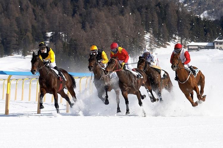 Konie z partynickich stajni znów pobiegną w Sankt Moritz