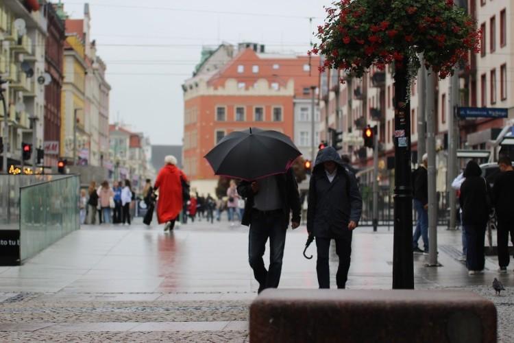 Czeka nas ciepła, ale mokra zima! Jest prognoza IMGW dla Wrocławia