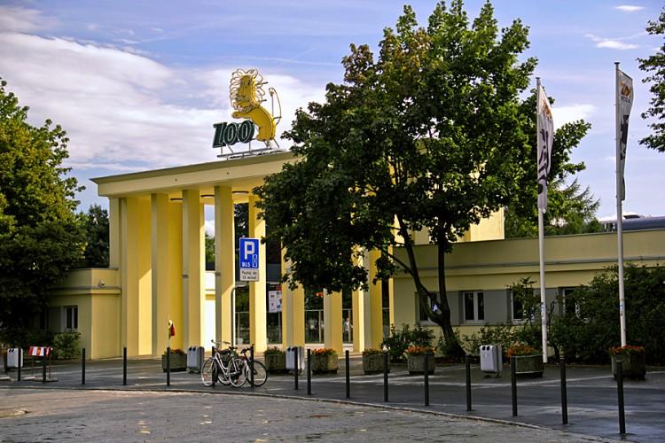 Wrocław: Czy zwierzęta w zoo są bezpieczne? Miasto: To naturalne, że umierają