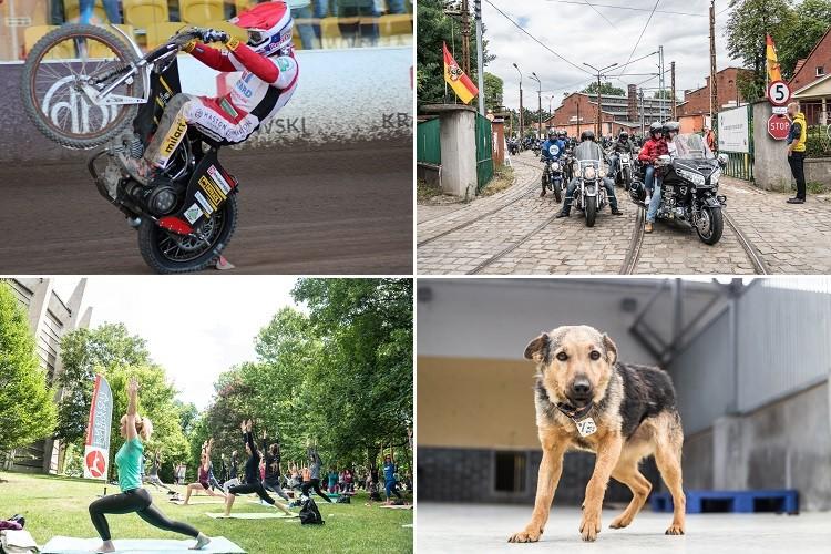 Wejście uchwały antysmogowej, przejazd motocyklistów, Dzień Psa i wygrana Betard Sparty [PODSUMOWANIE DNIA]