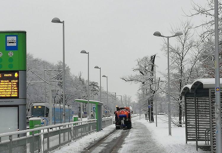 Intensywne opady śniegu. We Wrocławiu zrobiło się biało [DUŻO ZDJĘĆ]