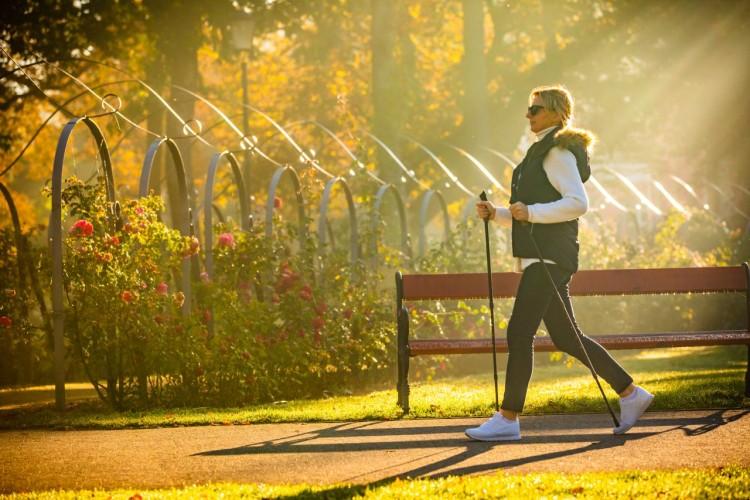 Jogging, nordic walking, a może rugby w Parku Grabiszyńskim? Wszystkie dyscypliny w internetowym sklepie Sportano!