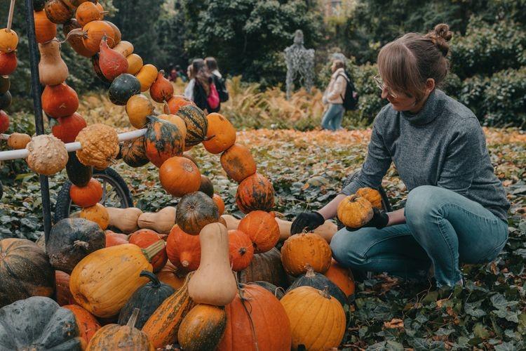 Dolnośląski Festiwal Dyni w Ogrodzie Botanicznym [ZDJĘCIA]
