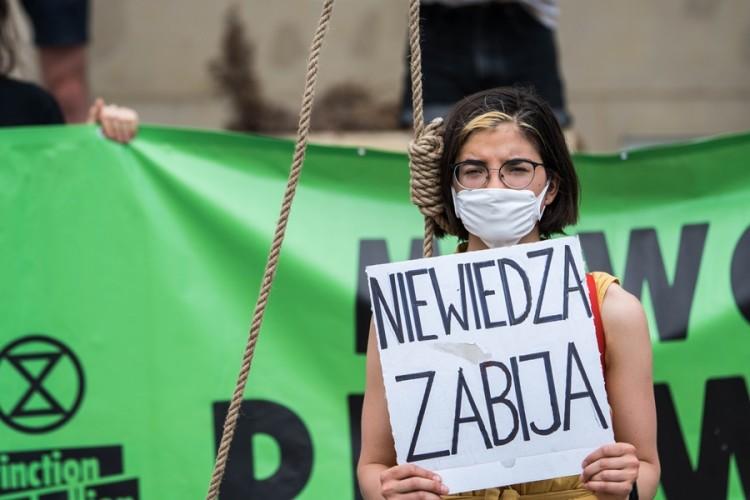 Szubienica przed urzędem. Kolejny szokujący happening we Wrocławiu [ZDJĘCIA]