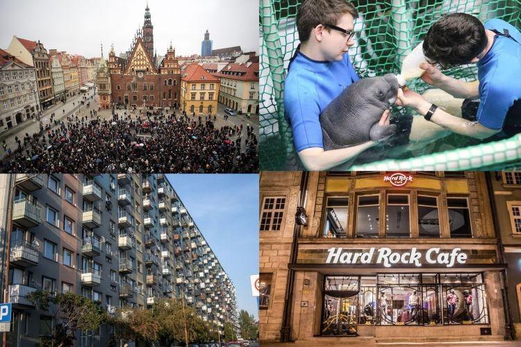 Czarny Piątek, narodziny manata i loty do Kijowa [PODSUMOWANIE DNIA]