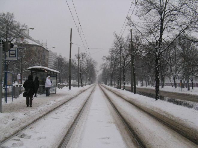 W nocy we Wrocławiu ma spaść pierwszy śnieg