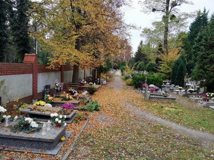 Wszystkich Świętych we Wrocławiu. Jak dojechać na cmentarz samochodem? [ZAMKNIĘTE ULICE, PARKINGI]