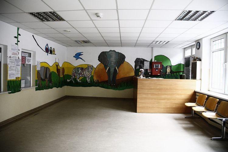 Wolontariusze pomalowali poczekalnie poradni pediatrycznej [ZDJĘCIA]