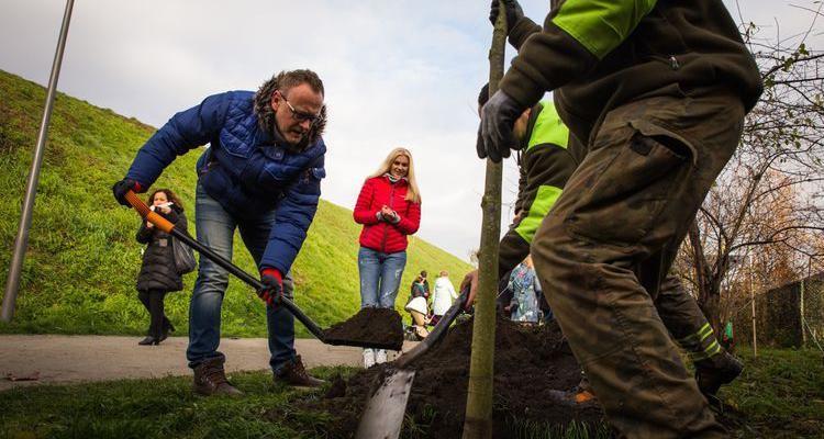Kolejny Park Młodego Wrocławianina powstanie nad Ługowiną na Maślicach