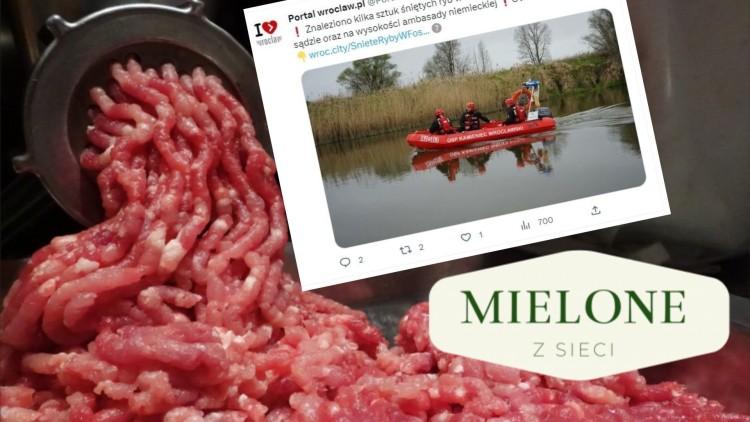 MIELONE Z SIECI Niemcy czy sędziowie zatruli ryby?