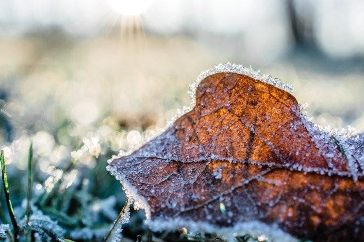 Uwaga! Przed nami kolejne przymrozki. Jest alert IMGW