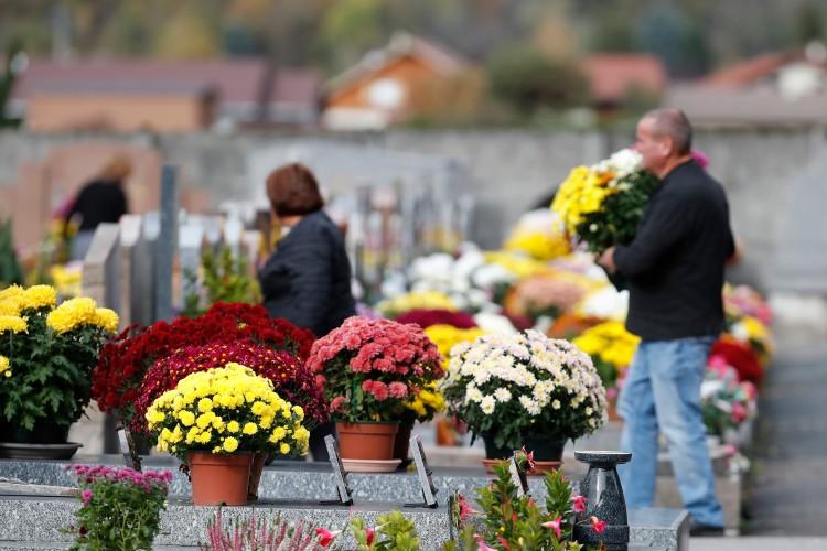 Pogoda na Wszystkich Świętych we Wrocławiu