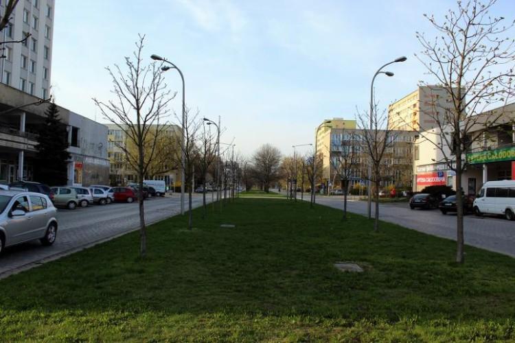 Wrocław: napad na kantor przy Hirszfelda