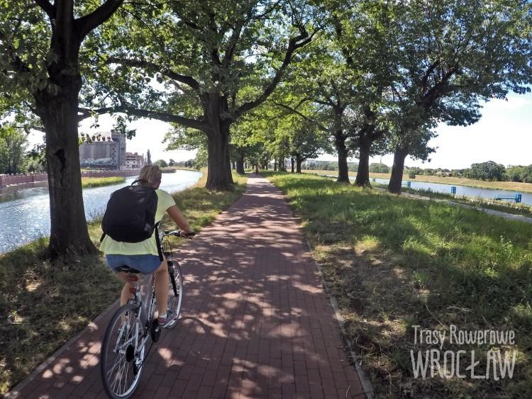 10 najbardziej malowniczych tras rowerowych we Wrocławiu i okolicach