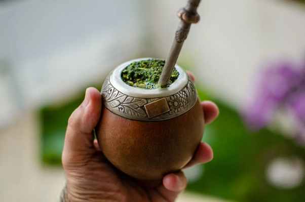 Jak zacząć pić Yerba Mate?