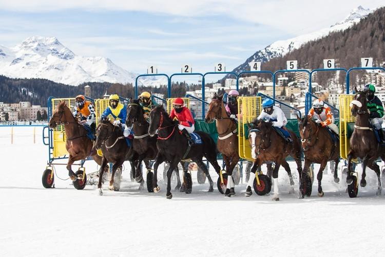 Finał alpejskich zmagań w Sankt Moritz