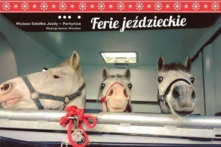 Wrocławski Tor Wyścigów Konnych zaprasza na ferie jeździeckie na Partynicach