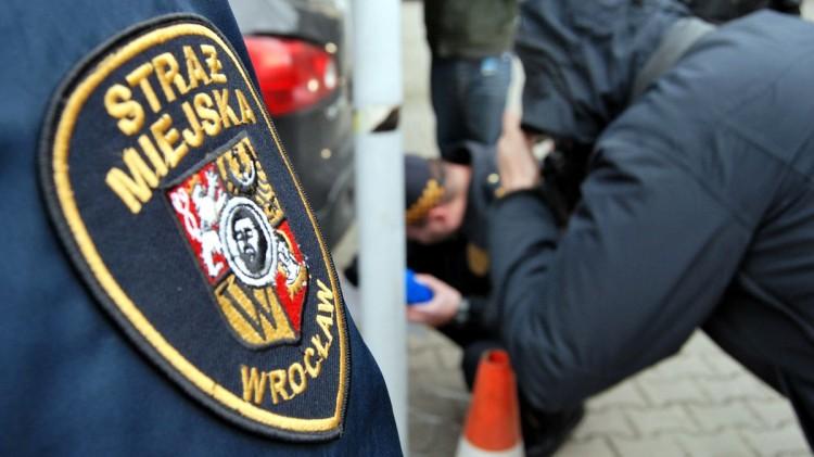 Zobacz, gdzie straż miejska dziś wypisuje mandaty