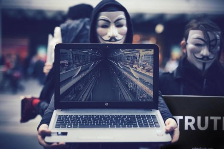 Wrocław: Trzy demonstracje w centrum miasta. Wśród nich Rosjanie przeciwni Putinowi