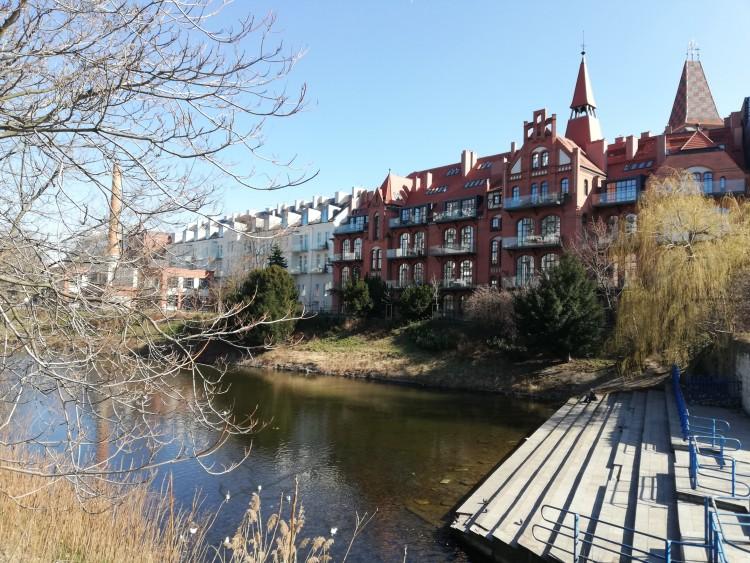Ależ wiosna we Wrocławiu! W kolejnych dniach też dużo słońca [ZDJĘCIA]